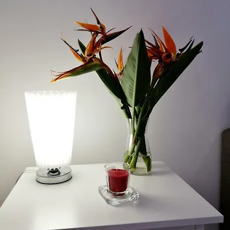 Pontemare Ortigia Apartment Syracuse